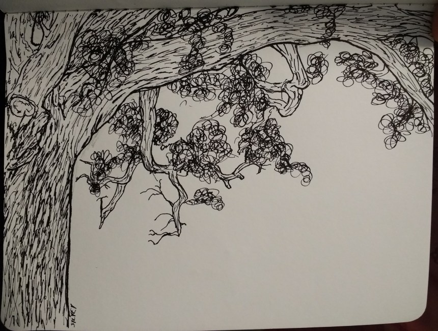 IMG_20180919_091029709