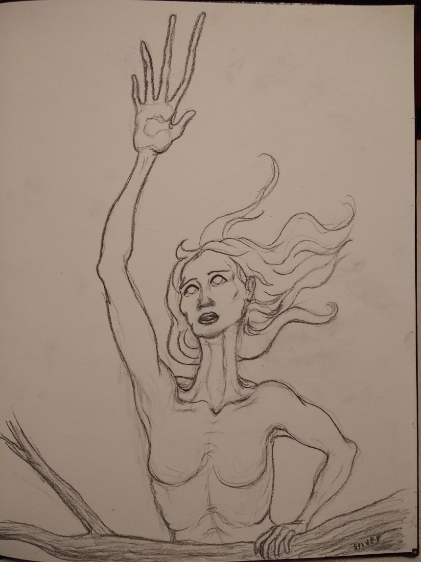 IMG_20190210_221211732