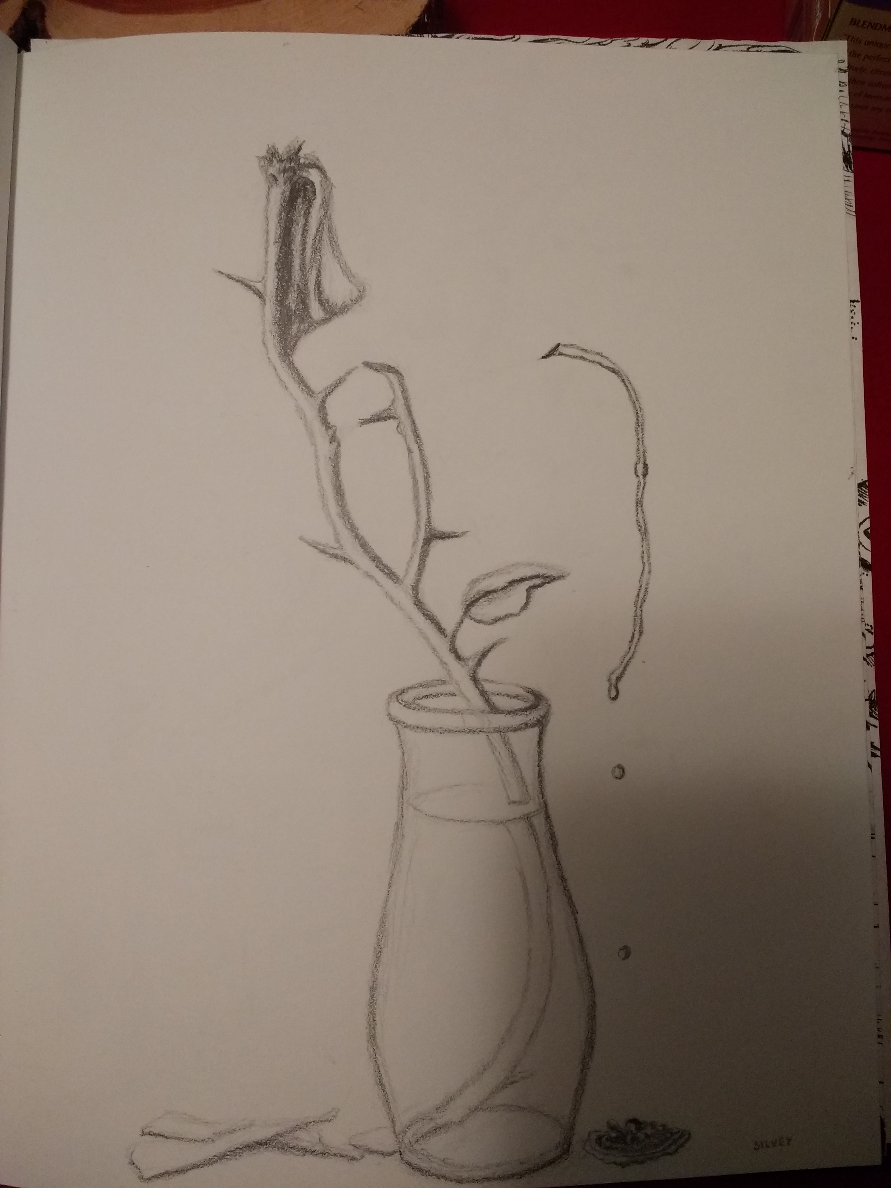 IMG_20190623_225349891