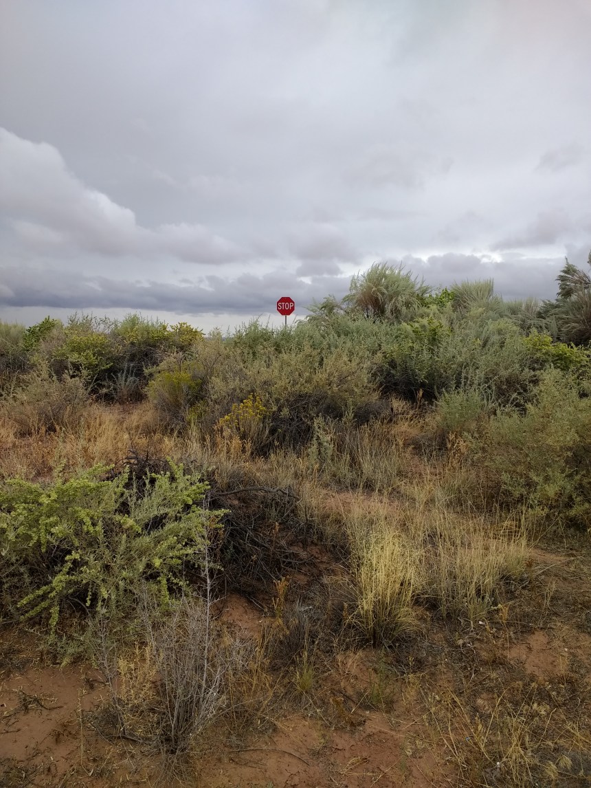 IMG_20190915_101129159