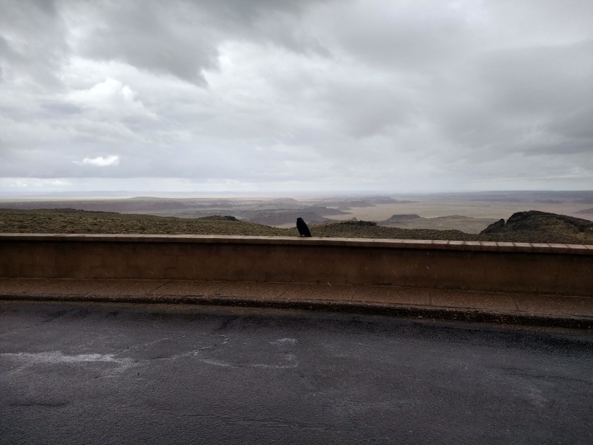 IMG_20190915_104946640_HDR