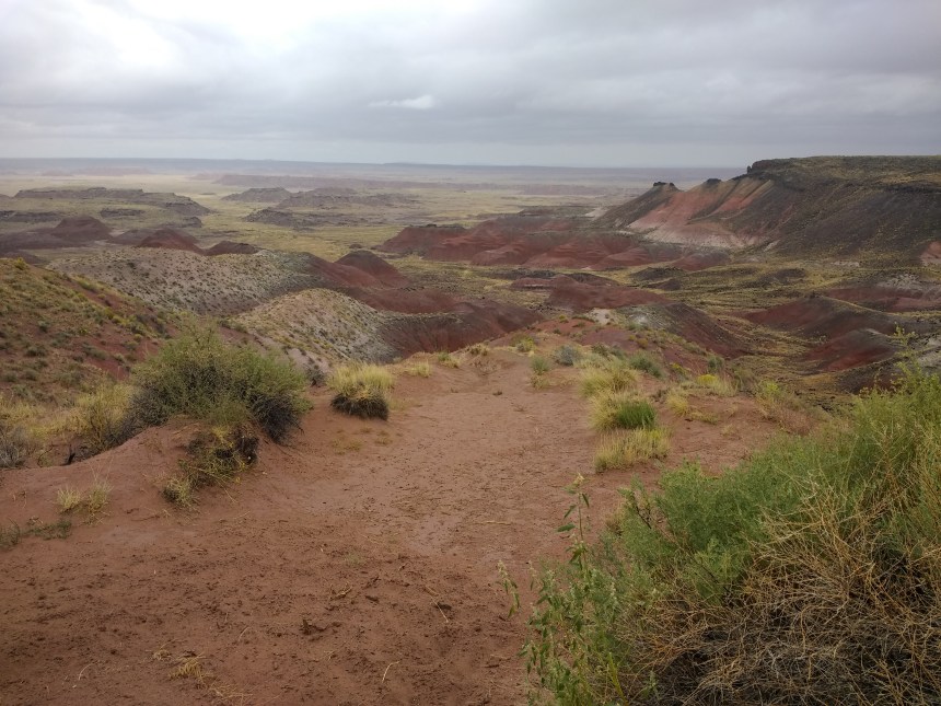 IMG_20190915_105748812