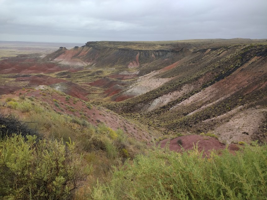 IMG_20190915_105824222