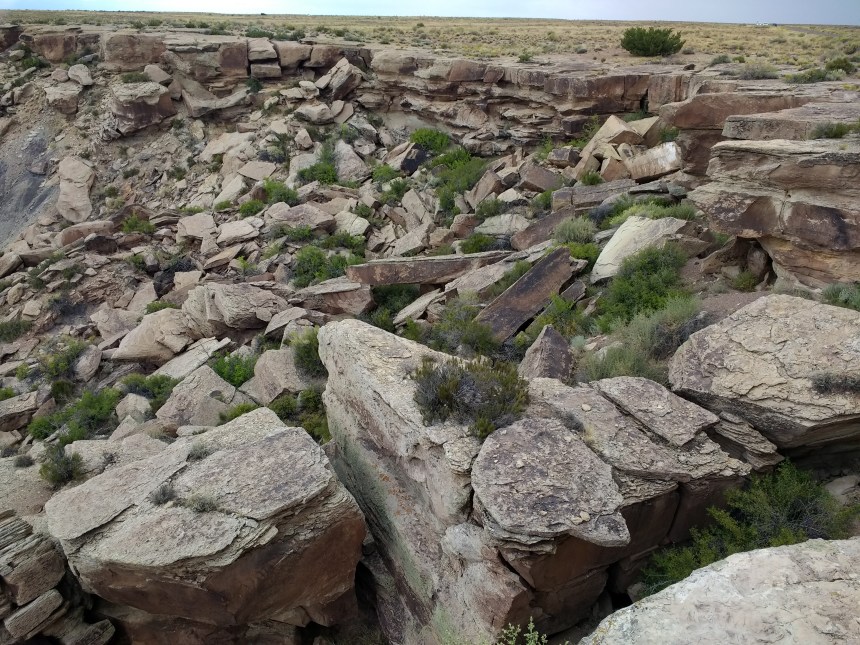 IMG_20190915_113824581