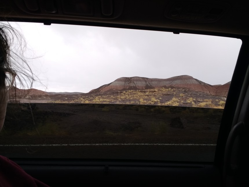 IMG_20190915_115013708