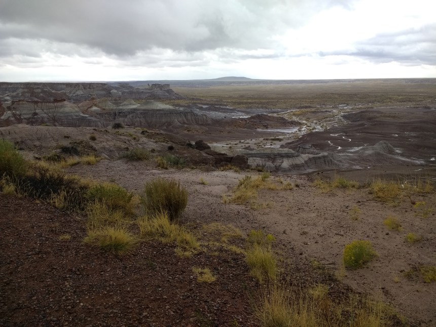 IMG_20190915_115843855