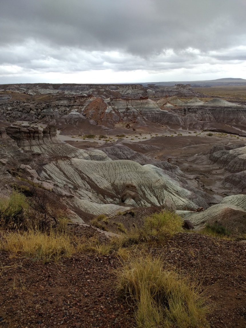 IMG_20190915_120426625