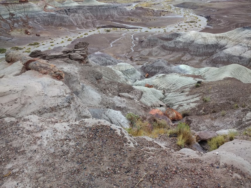 IMG_20190915_120718105