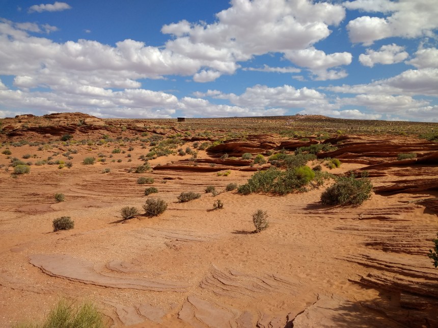 IMG_20190917_143826844_BURST000_COVER