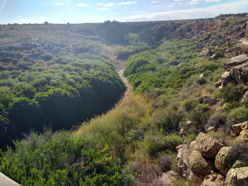 IMG_20190918_155249414_HDR