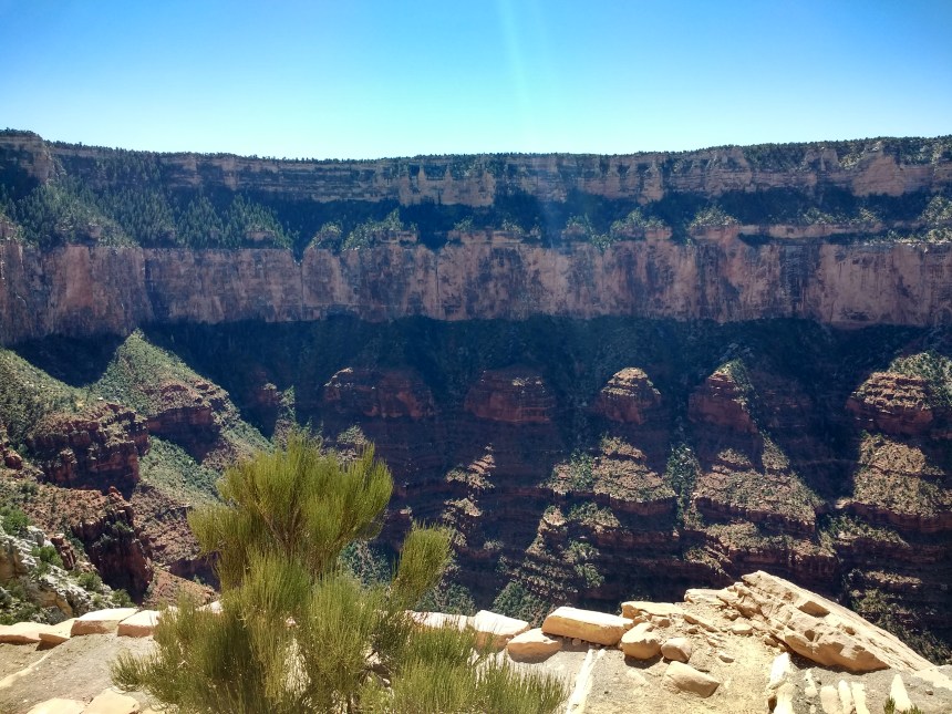 IMG_20190919_134233823_HDR