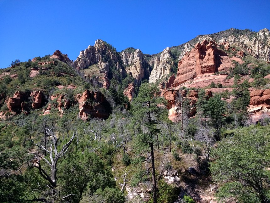 IMG_20190920_111051352