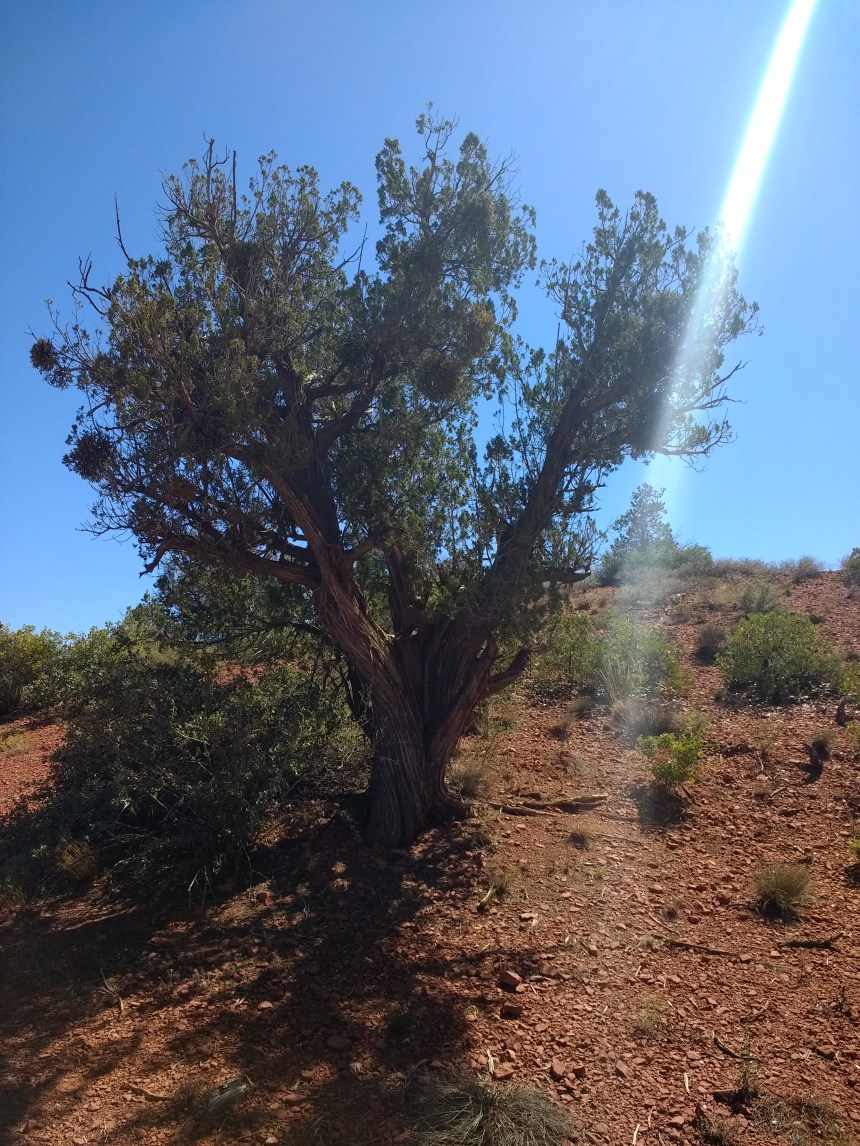 IMG_20190920_121328323