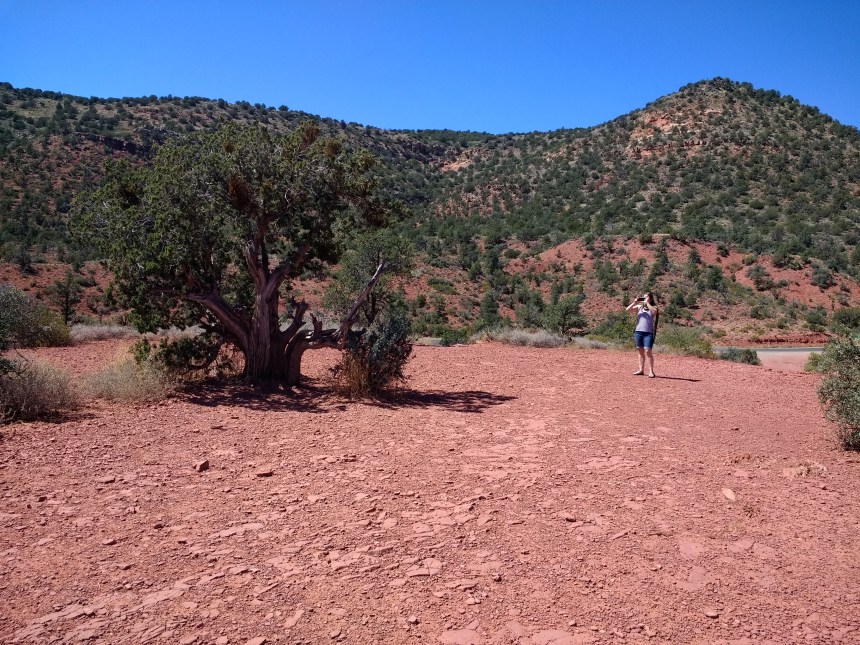 IMG_20190920_121515592