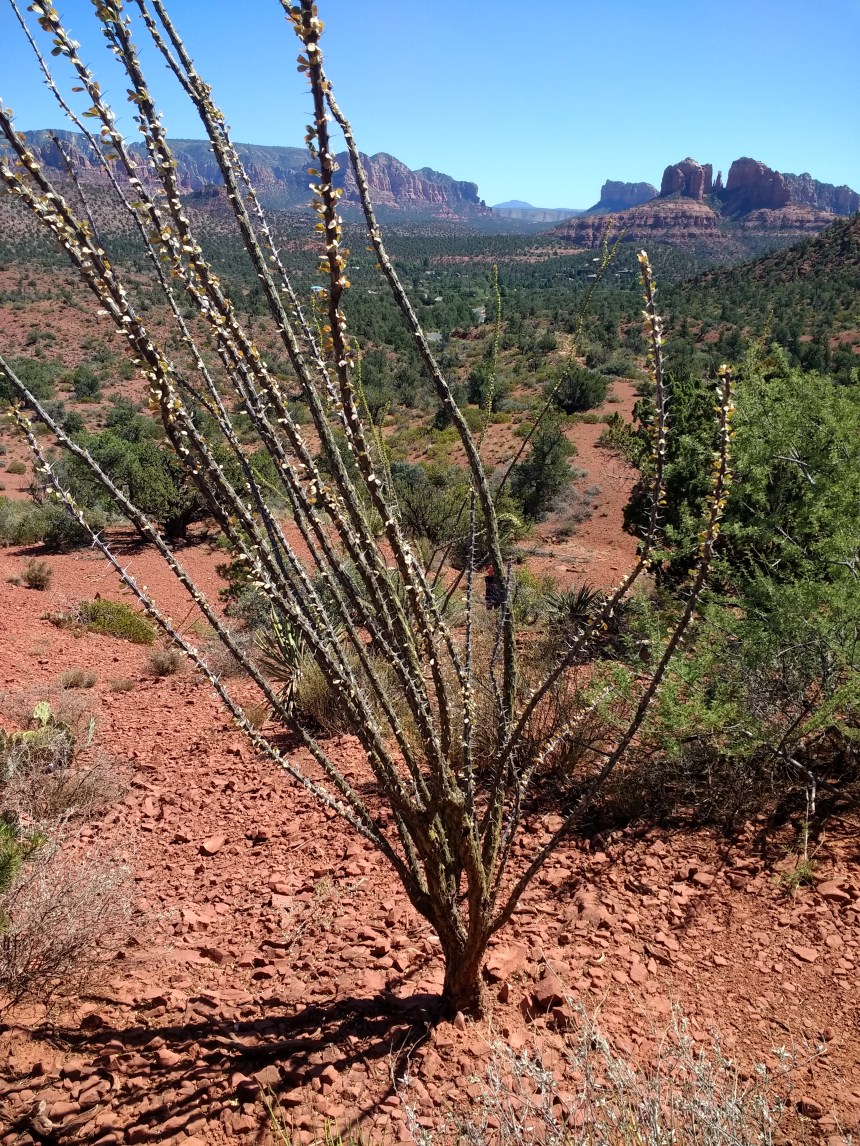 IMG_20190920_121705320