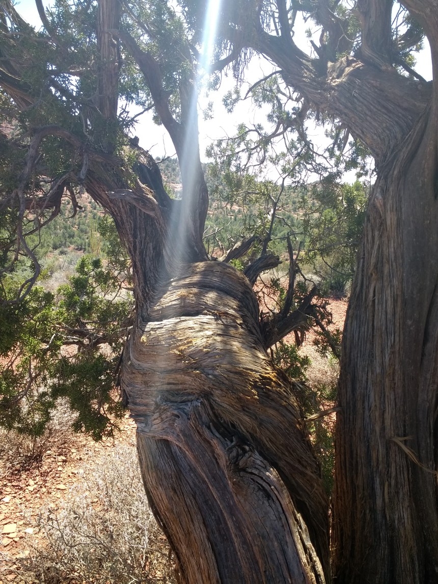 IMG_20190920_121755899