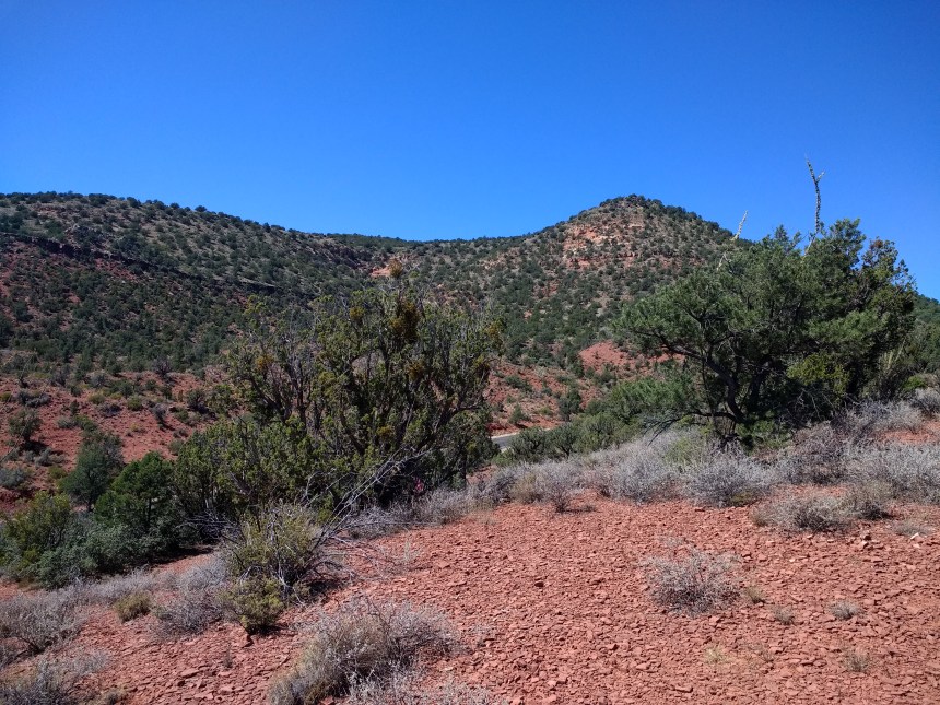 IMG_20190920_122403237