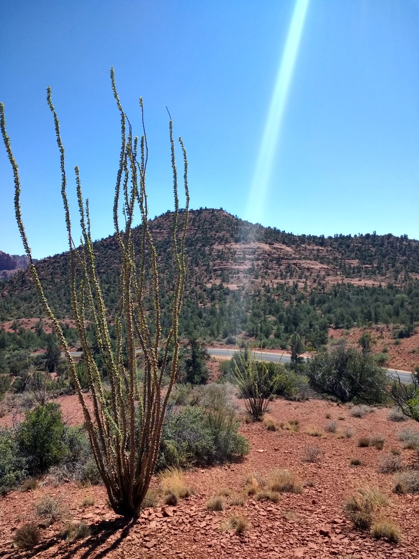 IMG_20190920_122714752