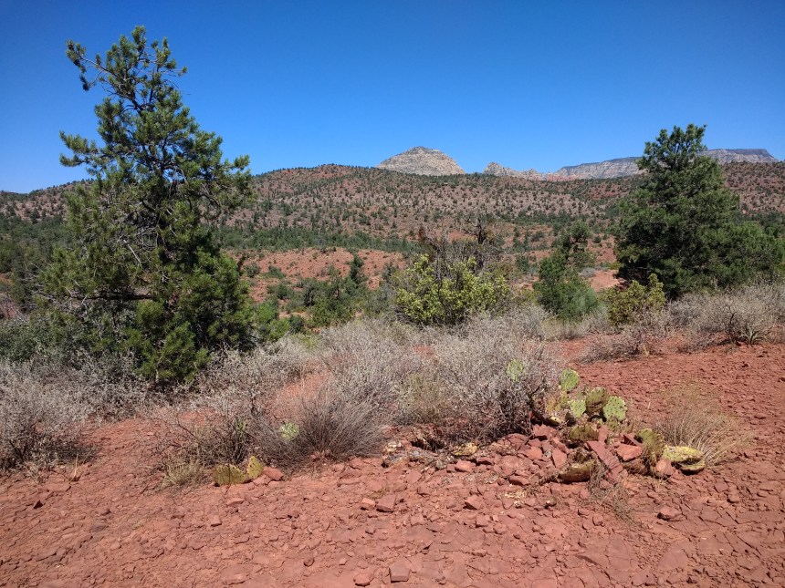 IMG_20190920_123007375