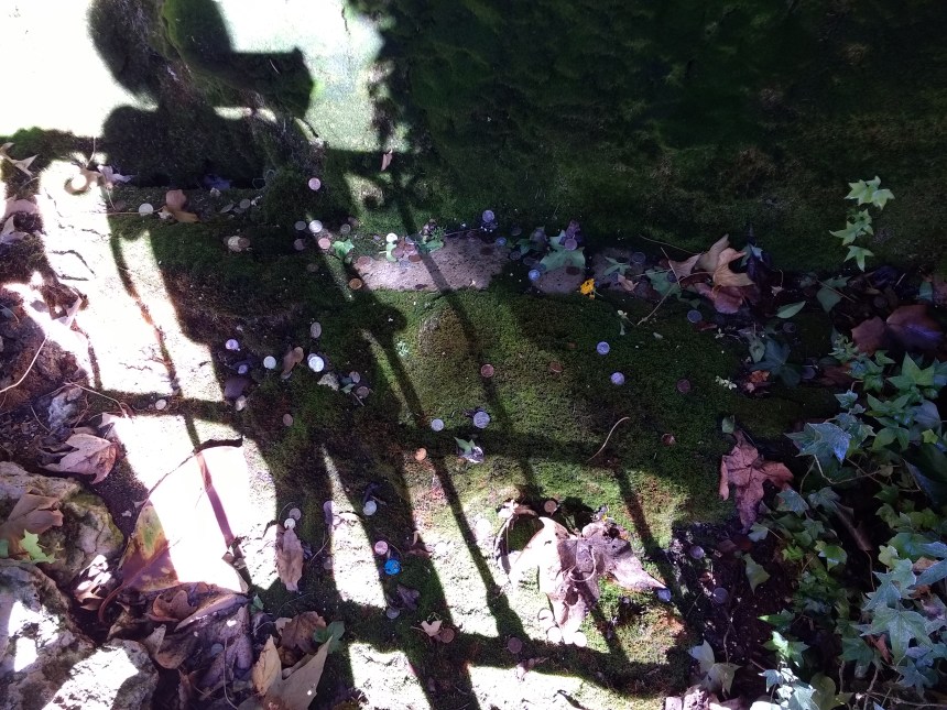 IMG_20190920_151704271